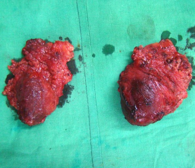 Fig. 6
