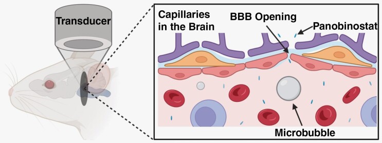 Graphical Abstract