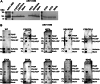 Figure 5