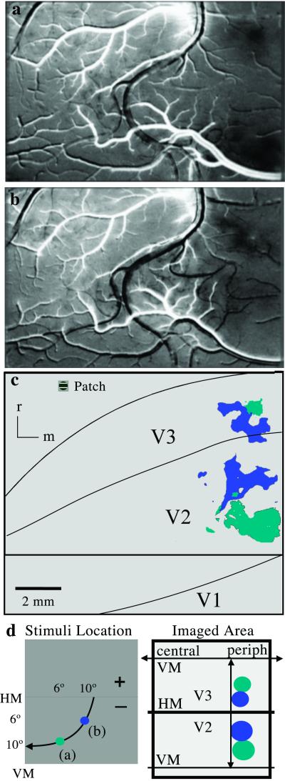 Fig 3.