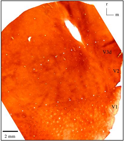 Fig 6.