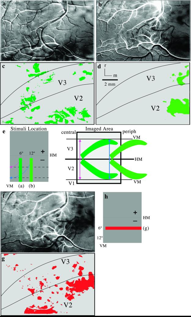 Fig 4.