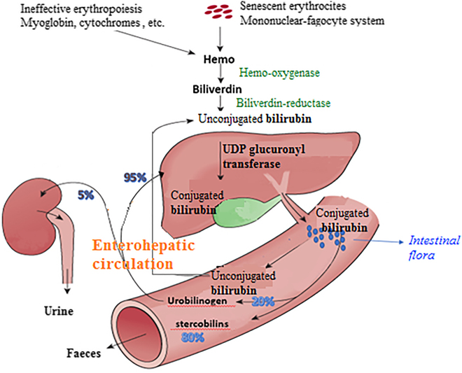 Figure 3: