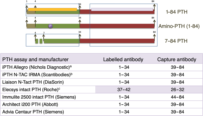 Figure 2: