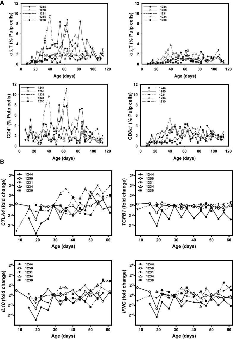 Figure 6