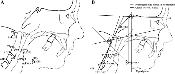 Fig. 2