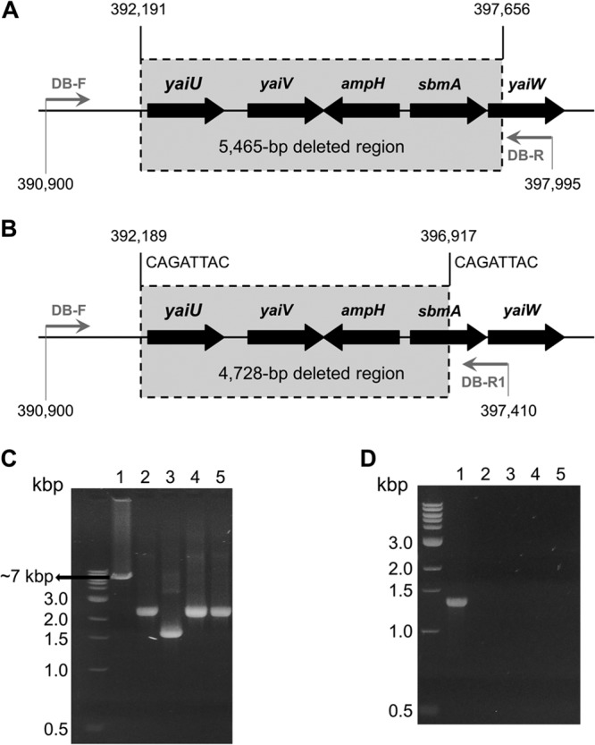 FIG 2