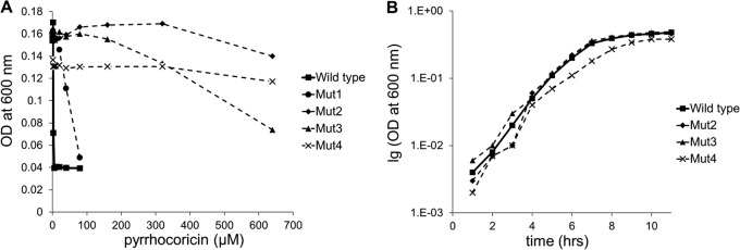 FIG 1