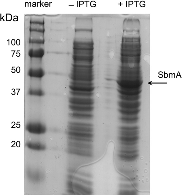 FIG 3