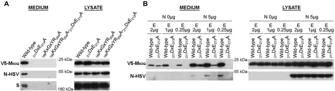 Fig. 8