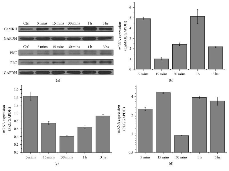 Figure 5