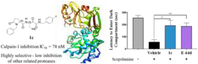 graphic file with name nihms-1746770-f0001.jpg