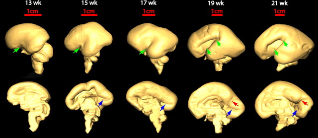 Figure 5.