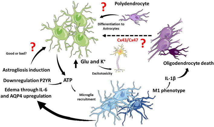 FIGURE 4