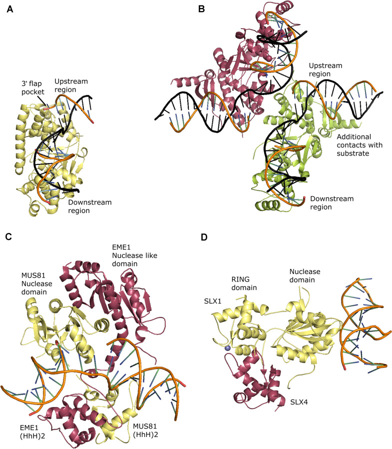 FIGURE 4