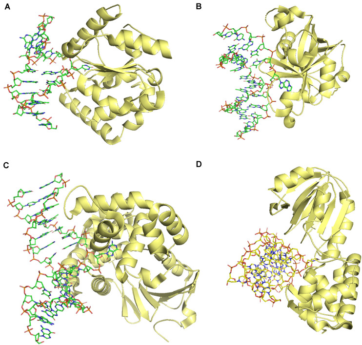 FIGURE 3