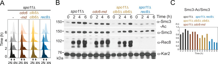 Figure 1—figure supplement 2.