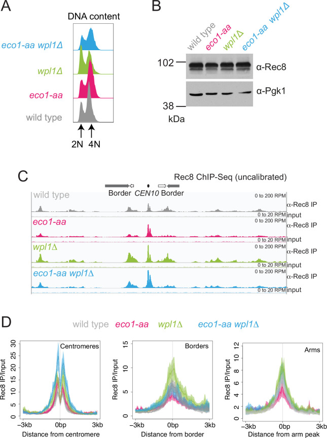 Figure 3—figure supplement 1.