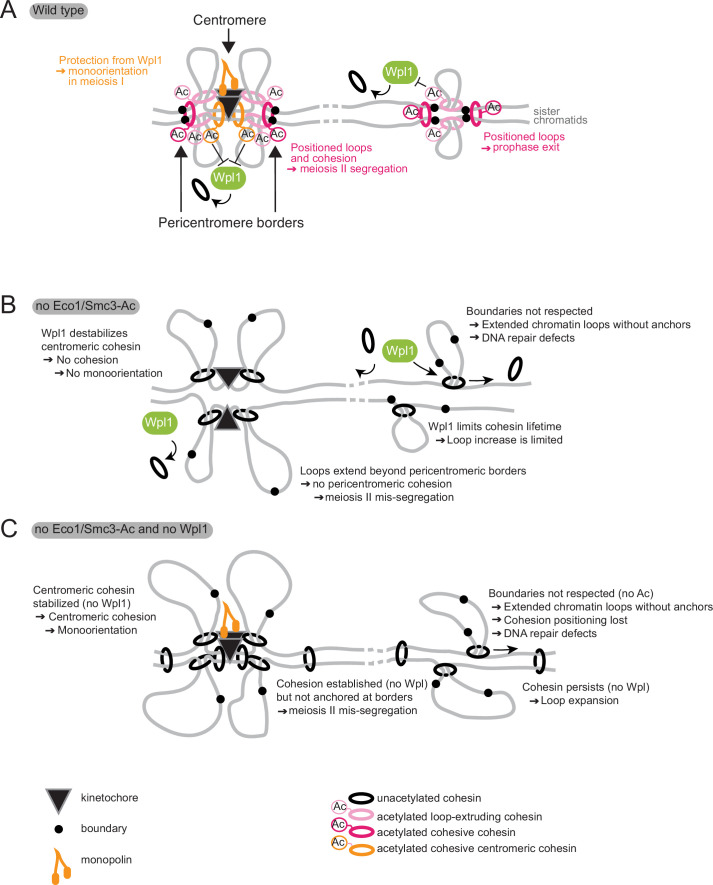 Figure 10.