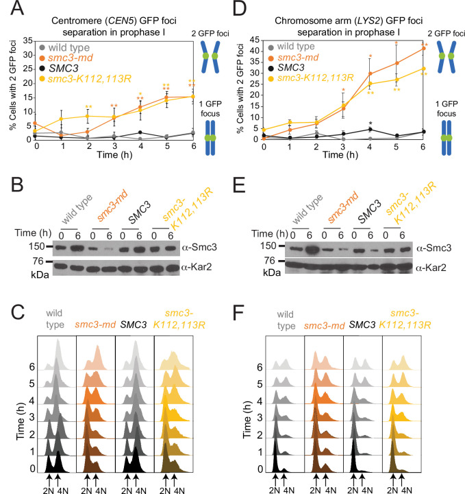 Figure 9—figure supplement 2.