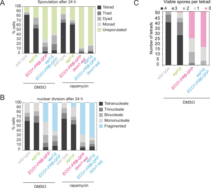 Figure 2—figure supplement 2.