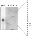 FIG. 7.