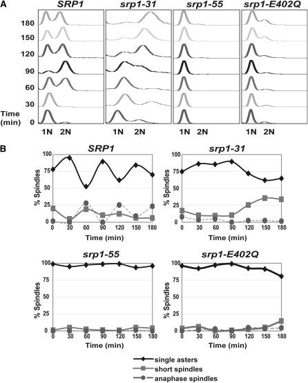 Figure 4.—