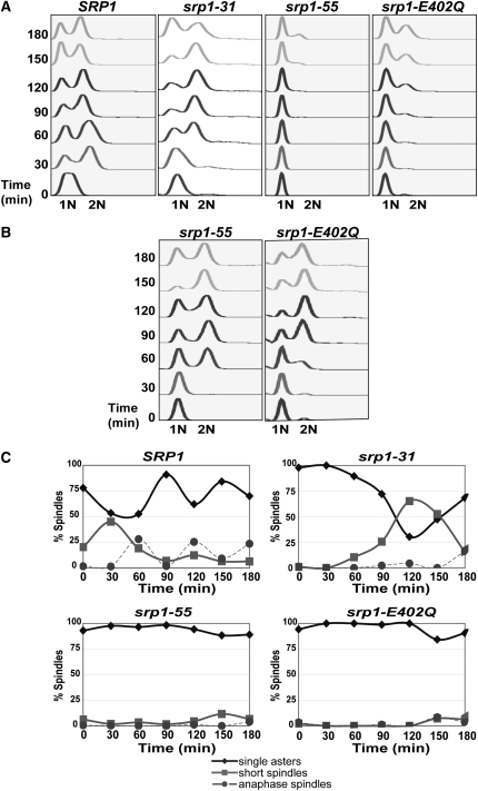 Figure 5.—