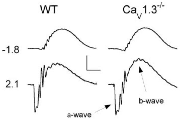 FIG. 1