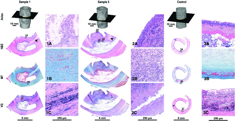 FIG. 3.