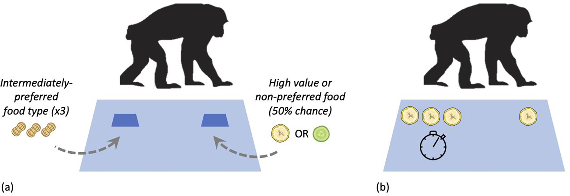 Figure 1: