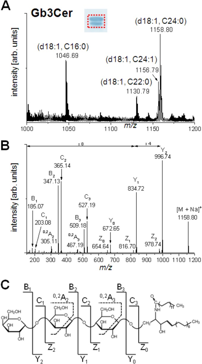 FIG 3