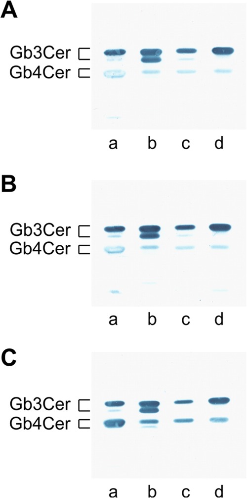 FIG 2