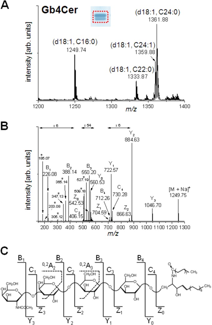 FIG 4