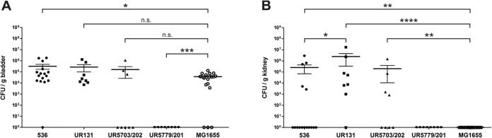 FIG 6