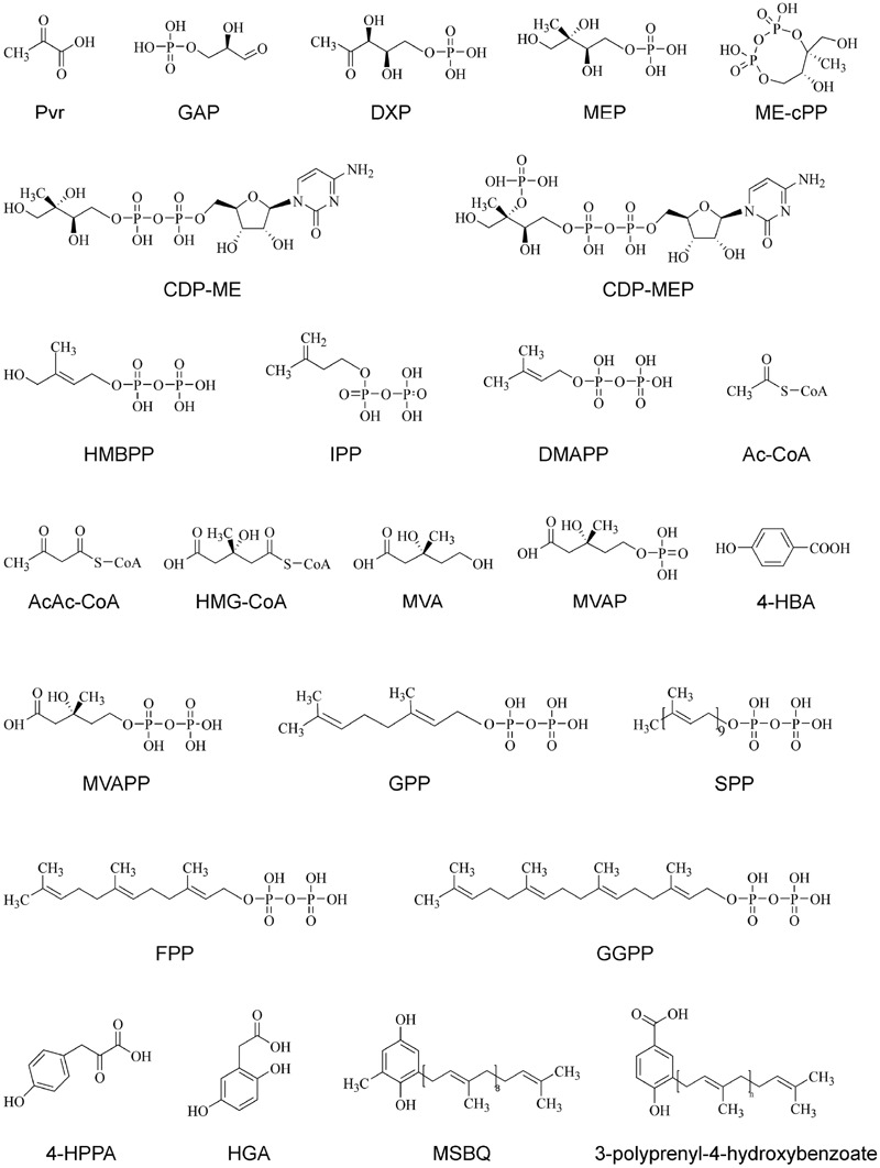 FIGURE 3