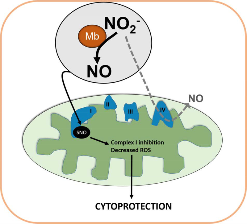 Figure 5: