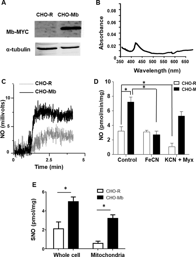 Figure 2: