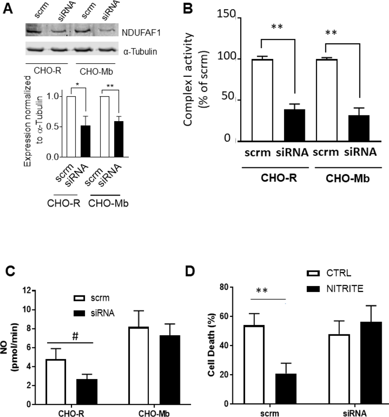 Figure 4: