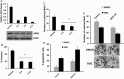 Fig. 4.