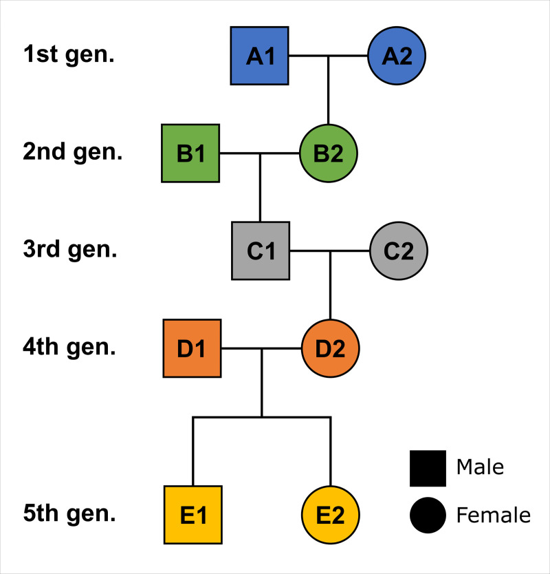 Fig 2