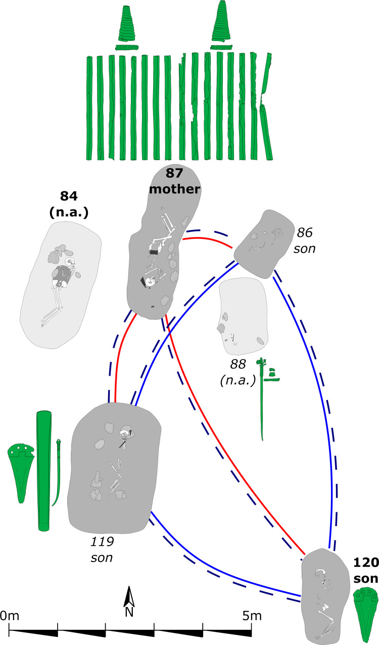 Fig 10