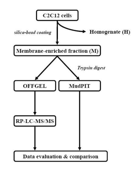 graphic file with name nihms2795u1.jpg