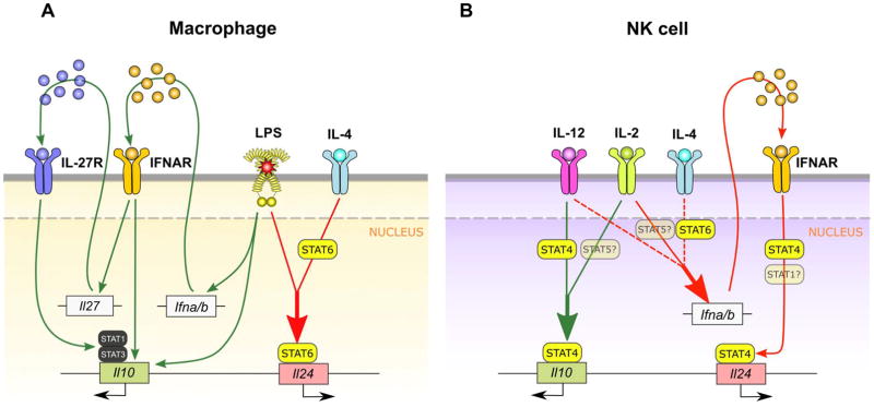 Figure 9