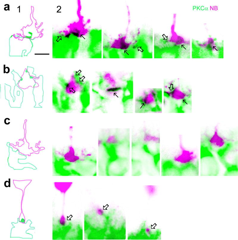 Fig. 3