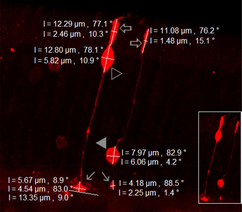 Fig.1