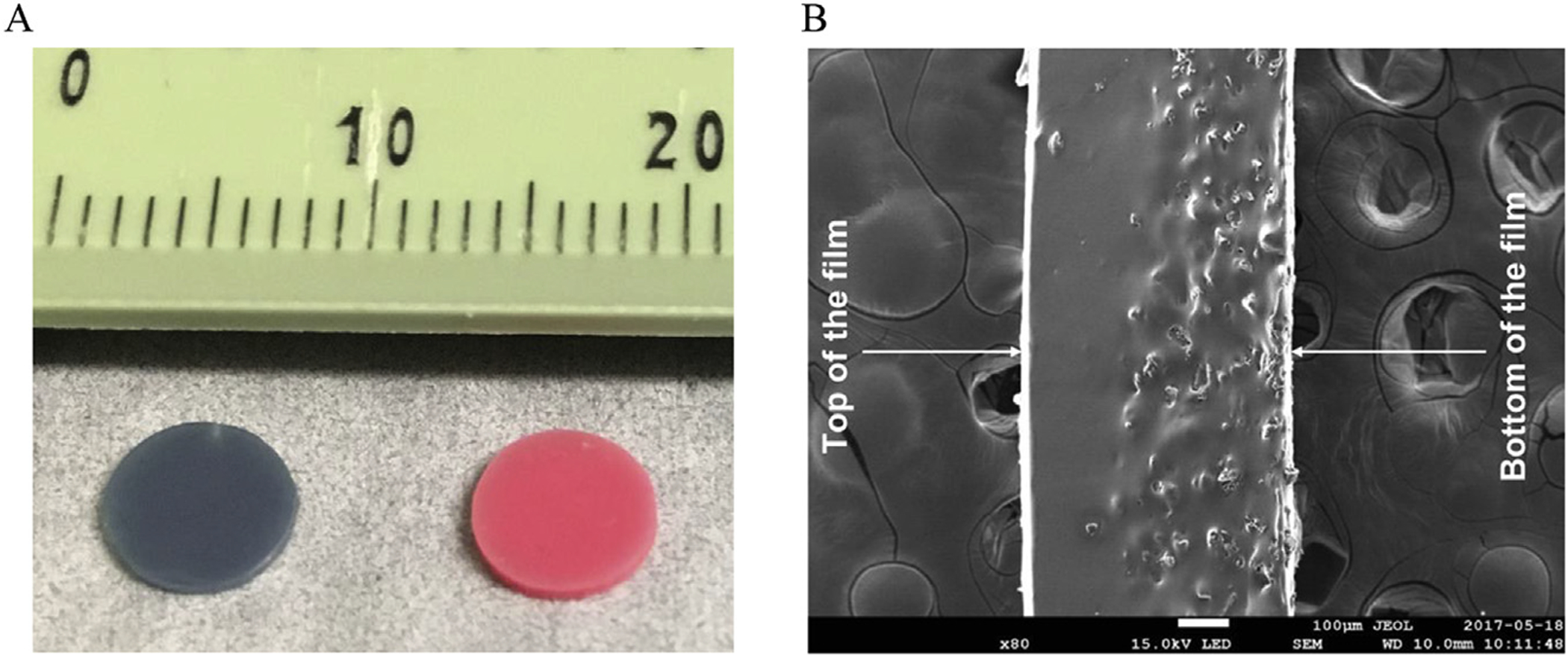 Fig. 3.