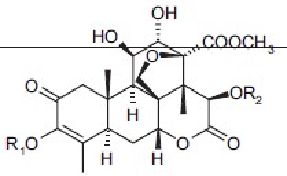 graphic file with name IJPharm-40-49-g016.jpg