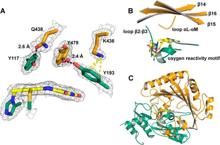 FIGURE 2.