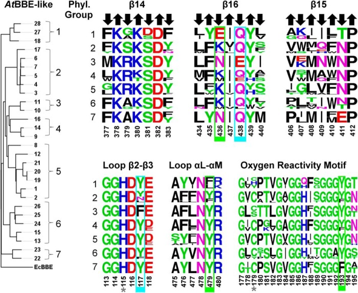 FIGURE 4.